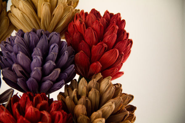Flor Gomo - Image 6