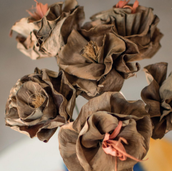 Flor Seca